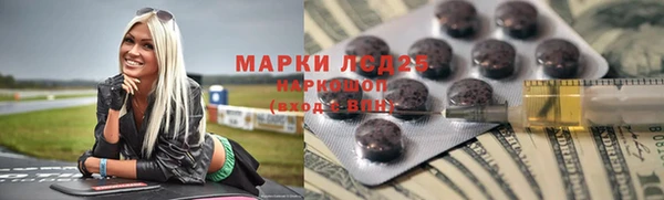 хмурый Арсеньев