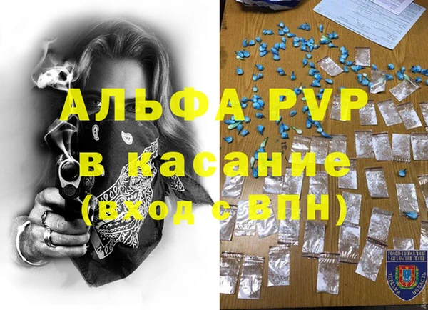 хмурый Арсеньев
