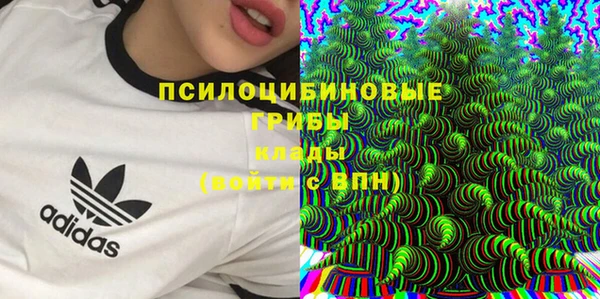 прущий лед Армянск