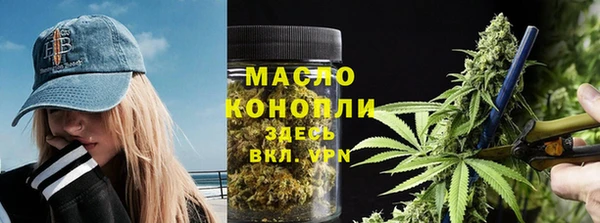 хмурый Арсеньев