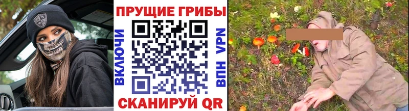 ссылка на мегу ТОР  сколько стоит  Новая Ляля  Галлюциногенные грибы мухоморы 